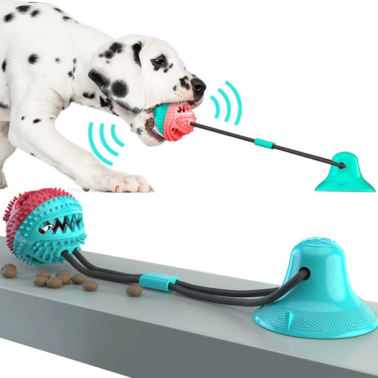 "Mealtime fun! 🐶 Interactive dog feeder that turns eating into play and helps reduce your pup’s anxiety."