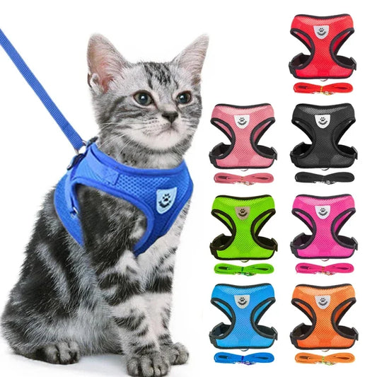 "Adventure in style! 🐾 Comfortable and adjustable harness for safe and fun cat walks!