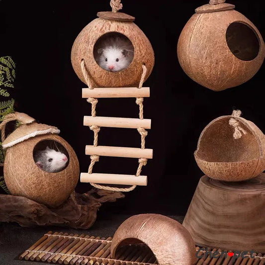"A tiny house full of charm! 🐹 Home-shaped hideout for your hamster to play, nap, and feel safe."