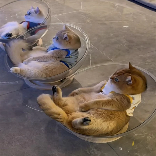 "The purrfect throne with style! 😸 Fun and comfy chair for your cat to rule the house with charm."